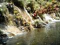 21a - Jardin Tropical 033